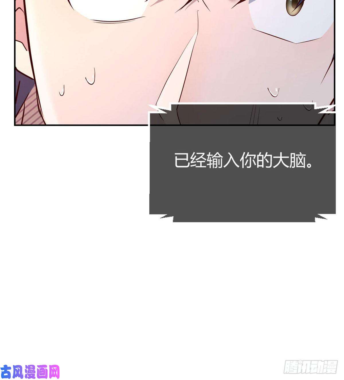 我的姐姐是大明星42