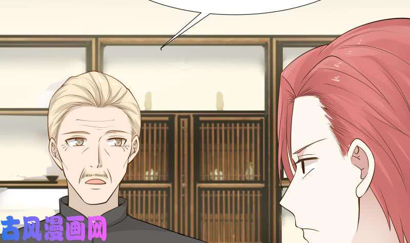 我身上有条龙第25话 境界划分