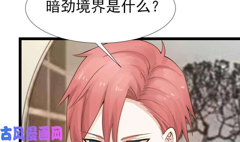 我身上有条龙第25话 境界划分