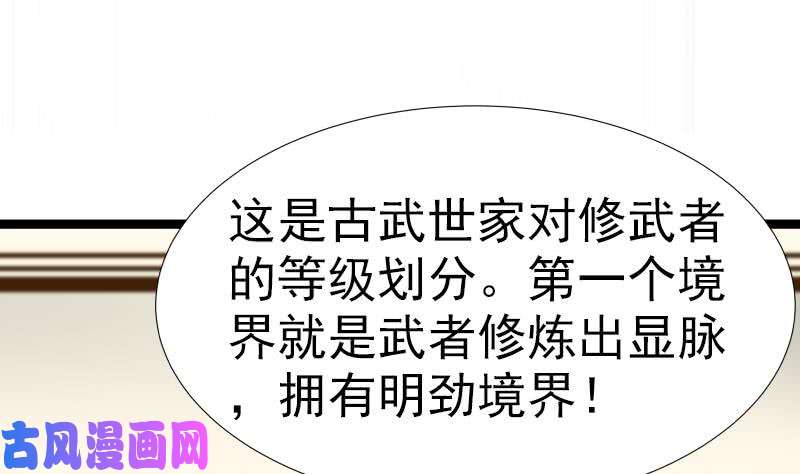 我身上有条龙第25话 境界划分