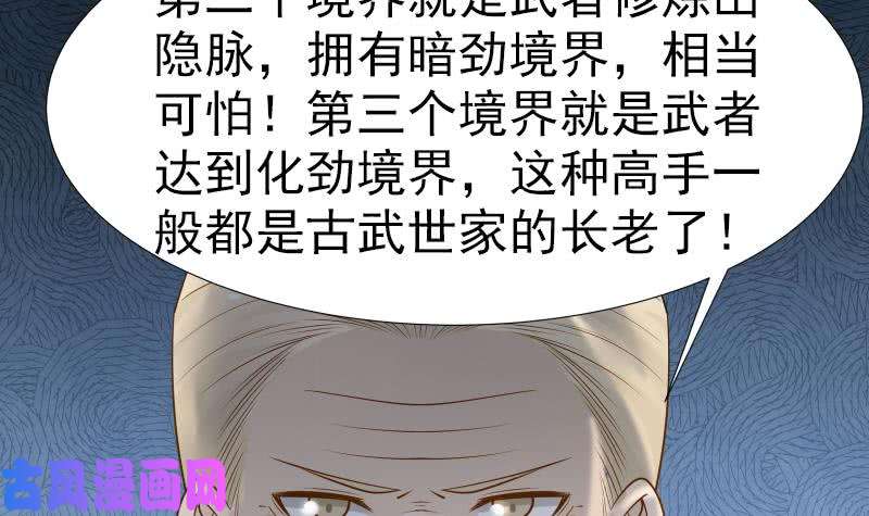 我身上有条龙第25话 境界划分