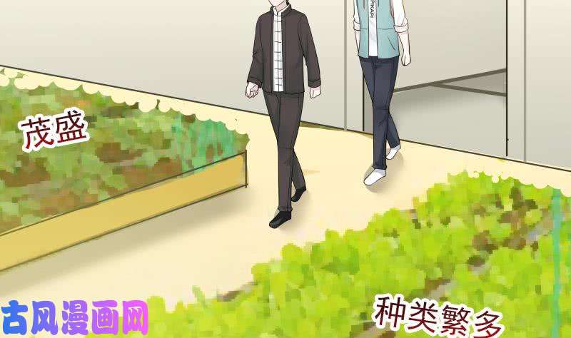 我身上有条龙第32话 药草