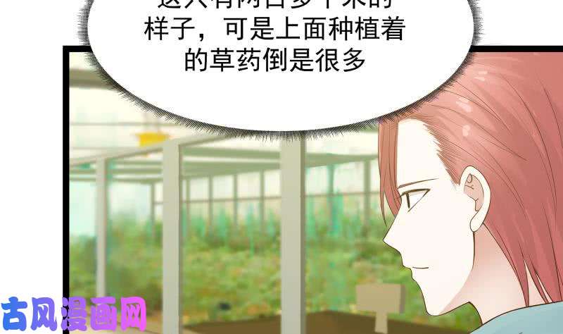 我身上有条龙第32话 药草