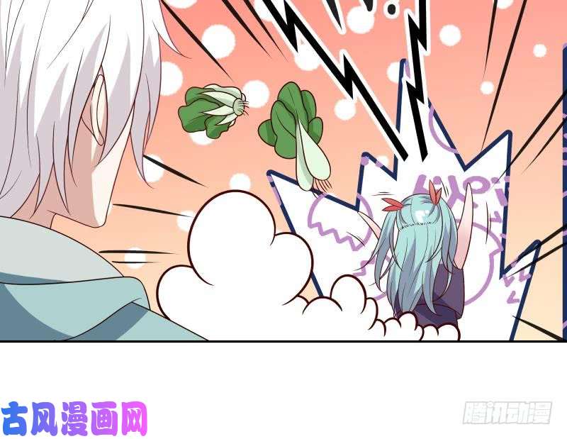 我身上有条龙第136话 音乐才子