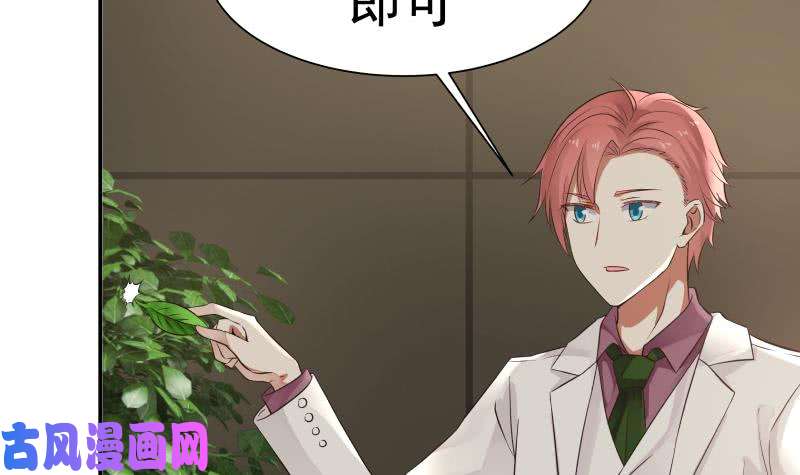 我身上有条龙第45话 片叶即可