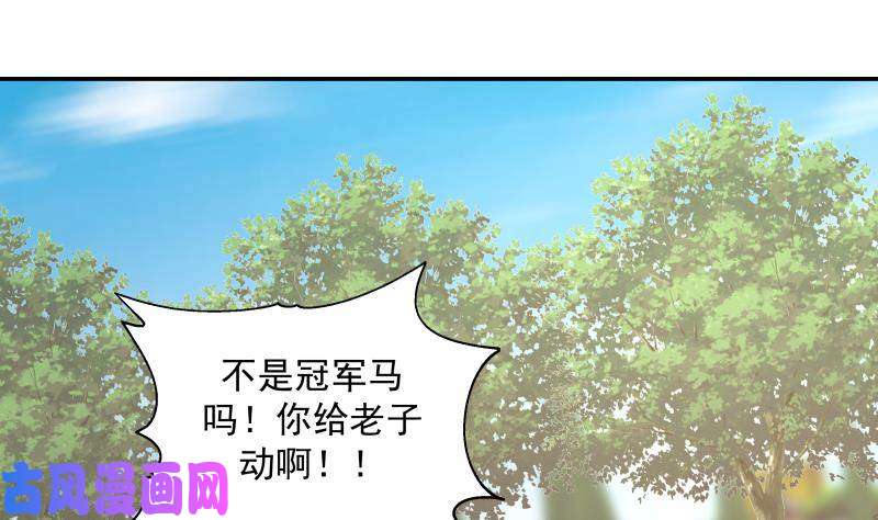 我身上有条龙第284话 疯马