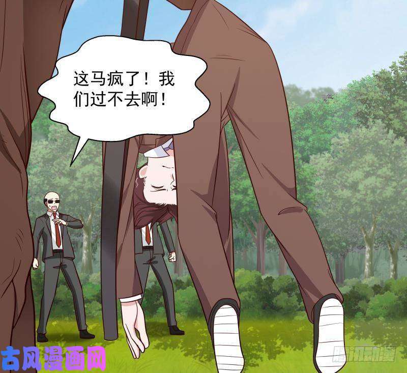 我身上有条龙第284话 疯马