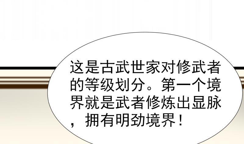 我身上有条龙25话 境界划分