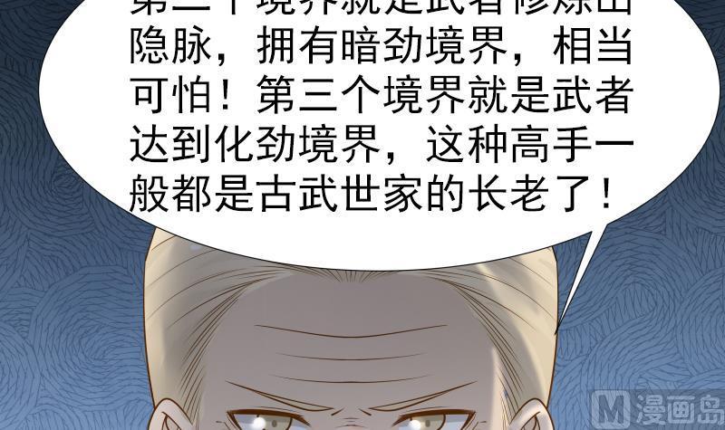 我身上有条龙25话 境界划分