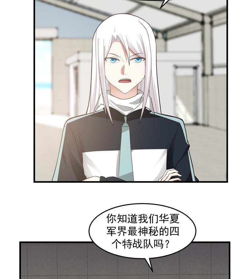 我身上有条龙207话 神秘特战队