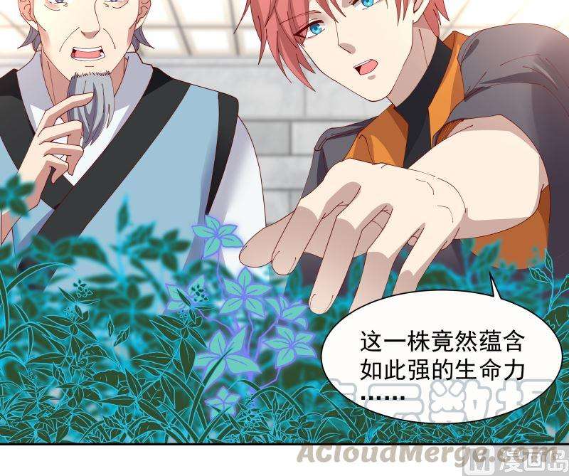 我身上有条龙392话 神秘附属品