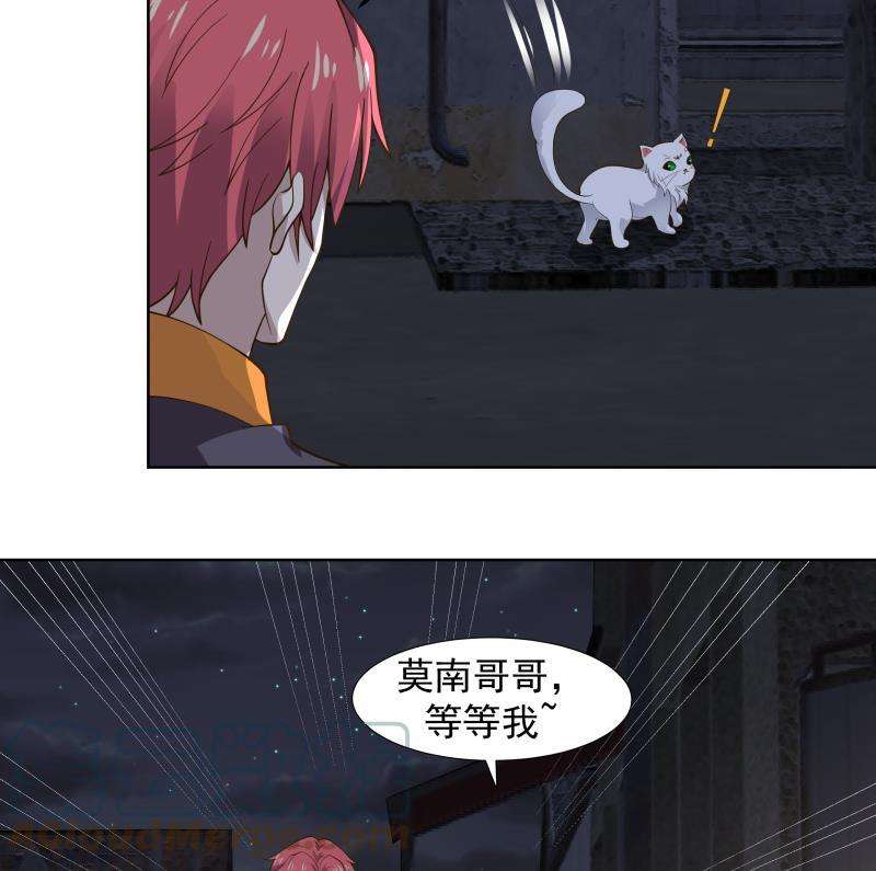 我身上有条龙459话 九命猫