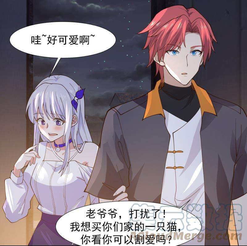 我身上有条龙459话 九命猫