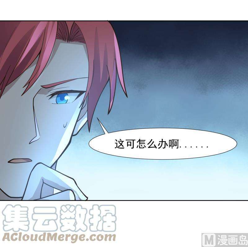 我身上有条龙459话 九命猫