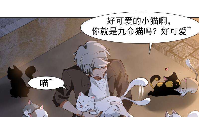 我身上有条龙459话 九命猫