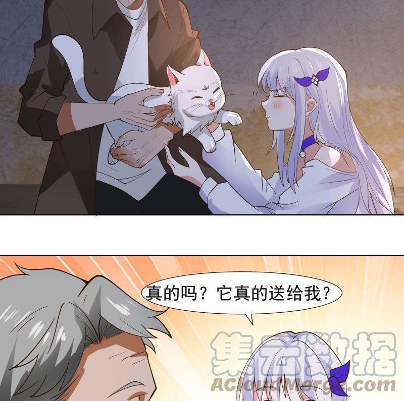 我身上有条龙459话 九命猫