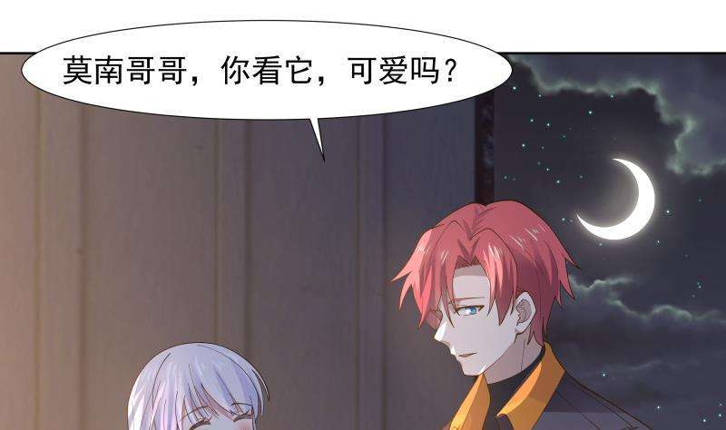我身上有条龙459话 九命猫