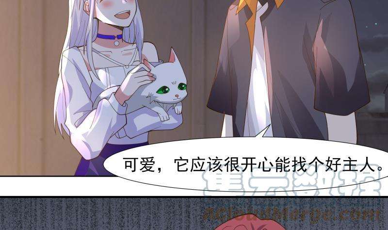 我身上有条龙459话 九命猫