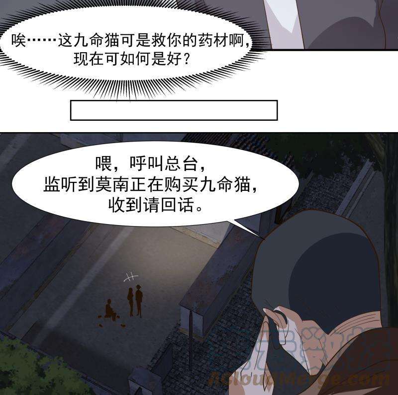 我身上有条龙459话 九命猫
