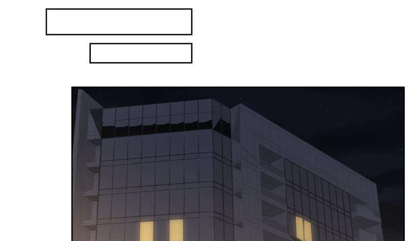 我身上有条龙459话 九命猫