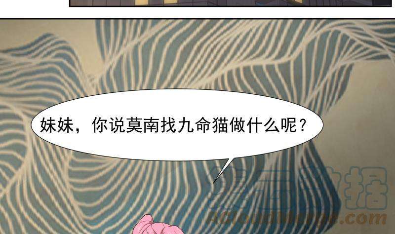 我身上有条龙459话 九命猫