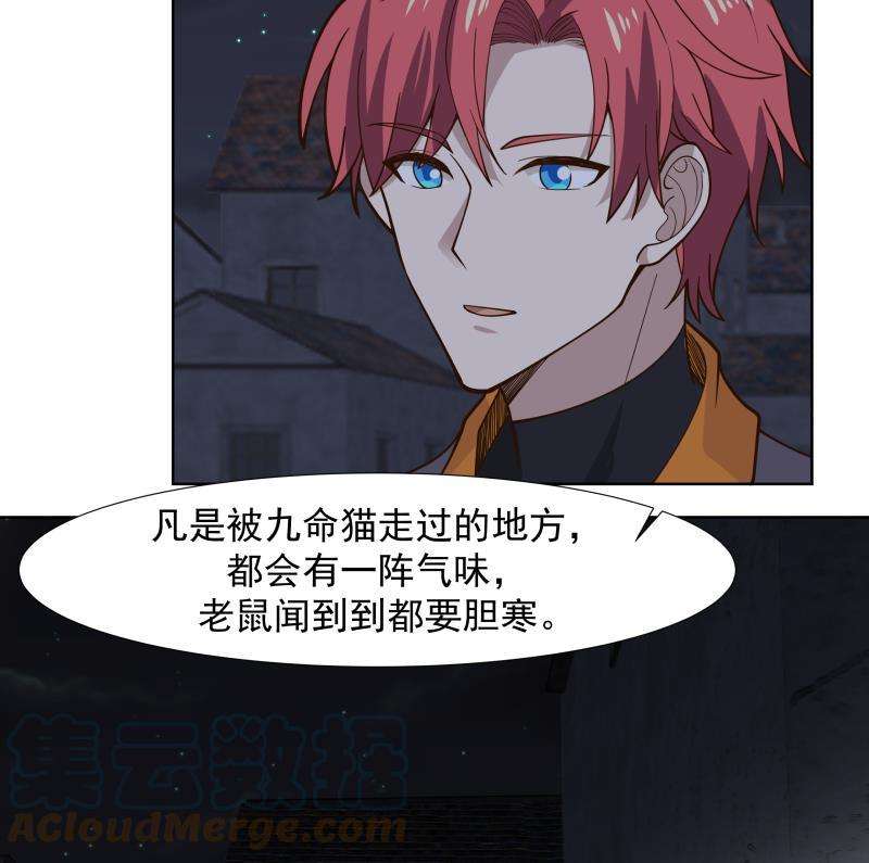 我身上有条龙459话 九命猫