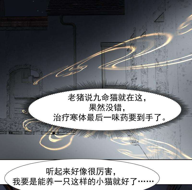 我身上有条龙459话 九命猫