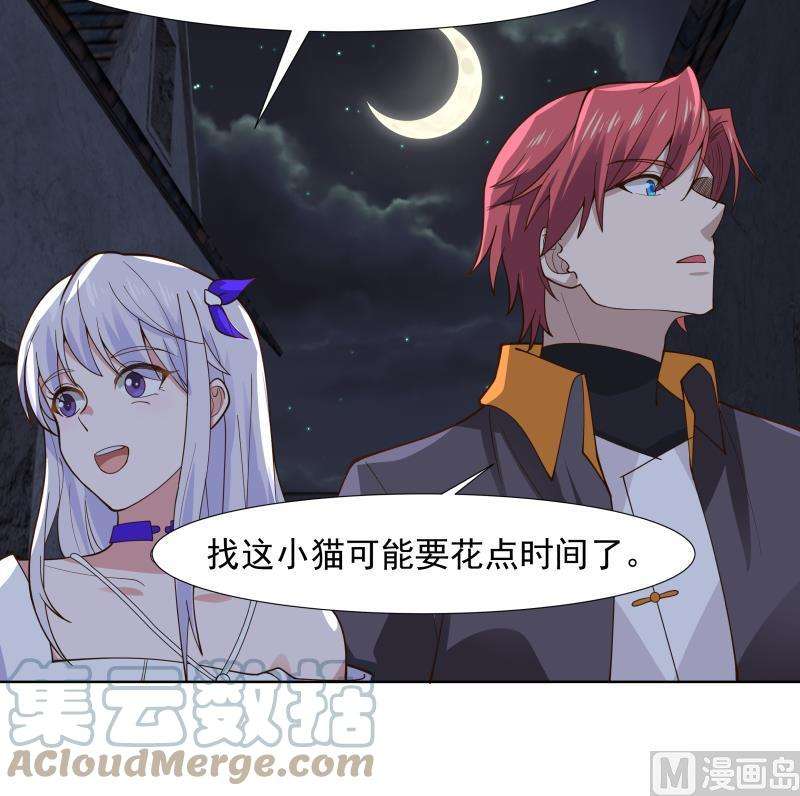 我身上有条龙459话 九命猫