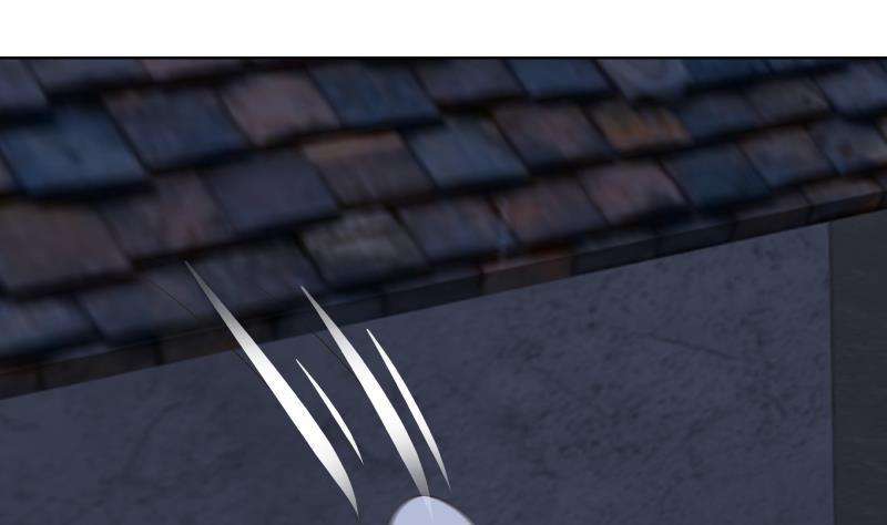 我身上有条龙459话 九命猫