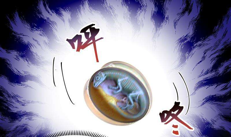 我身上有条龙492话 战枪