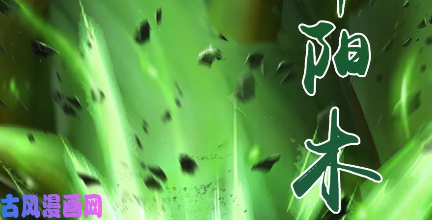 堕玄师第173话：林景期暴走！