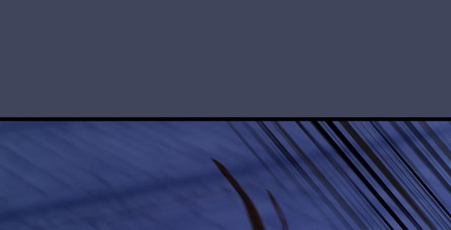 堕玄师234话：三姐弟齐聚