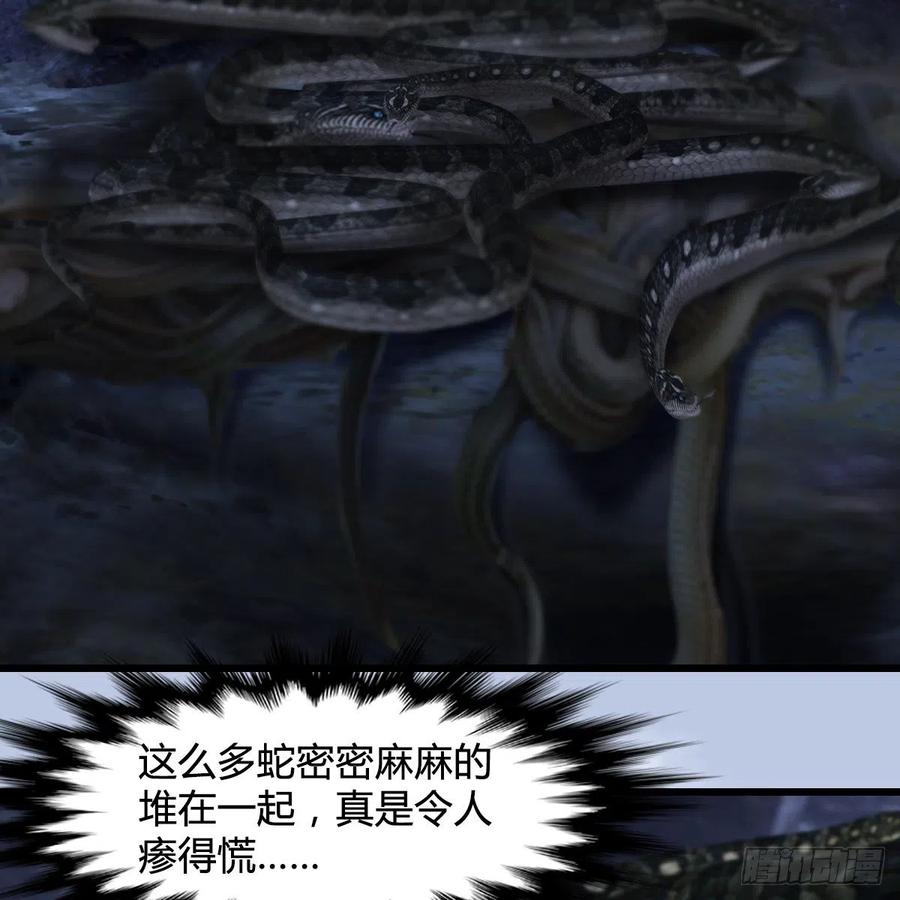 堕玄师358话：战蛇王（下）