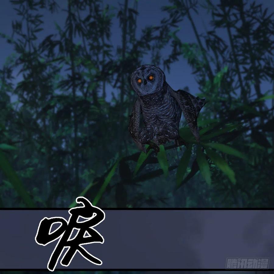 堕玄师411话：天肖虎