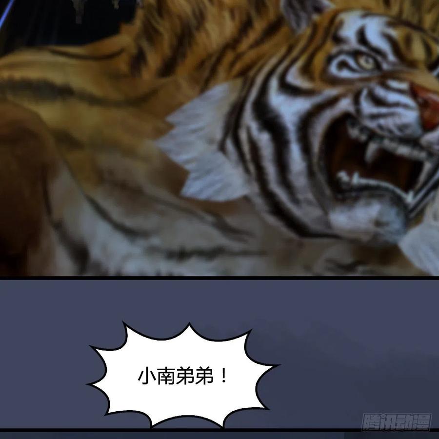 堕玄师411话：天肖虎