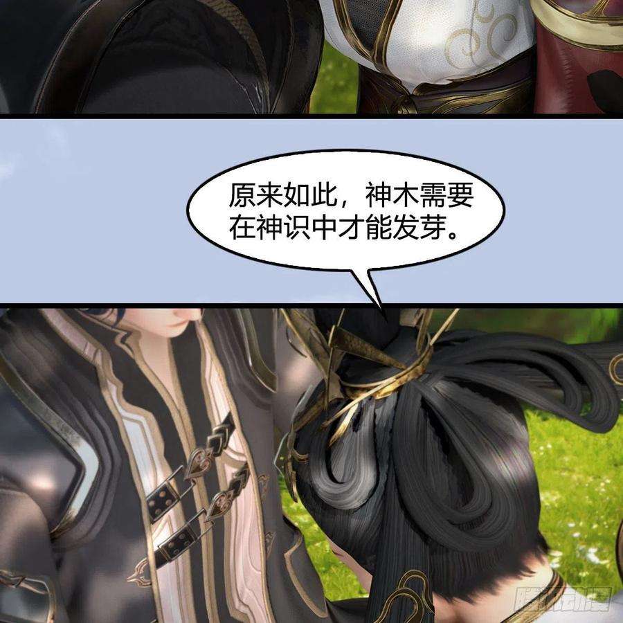 堕玄师568话：神木印记
