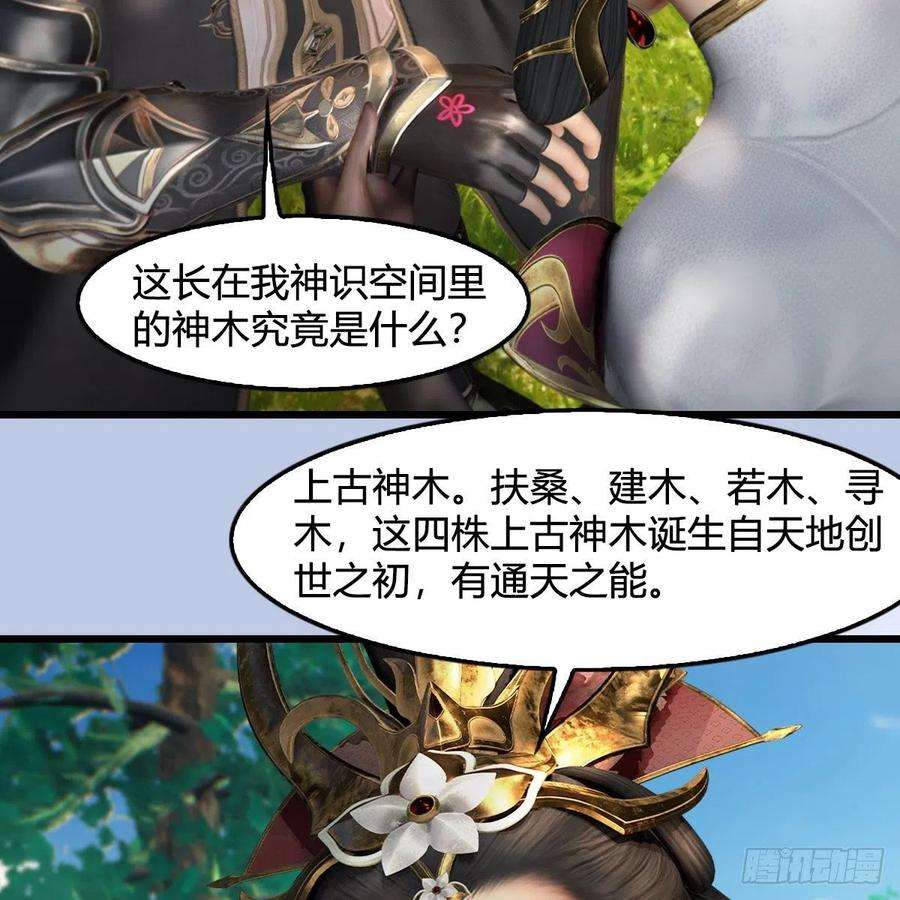 堕玄师568话：神木印记