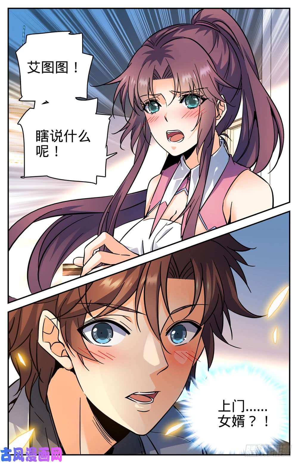 全职法师289 上门女婿