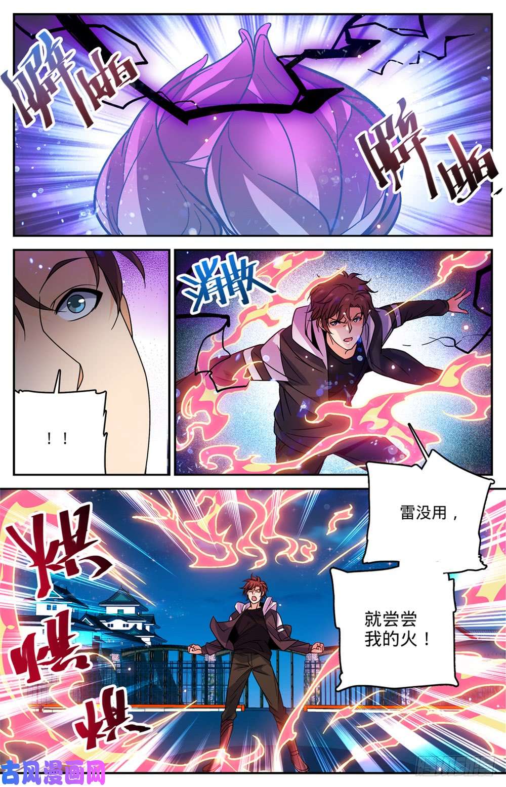 全职法师493 植体种子