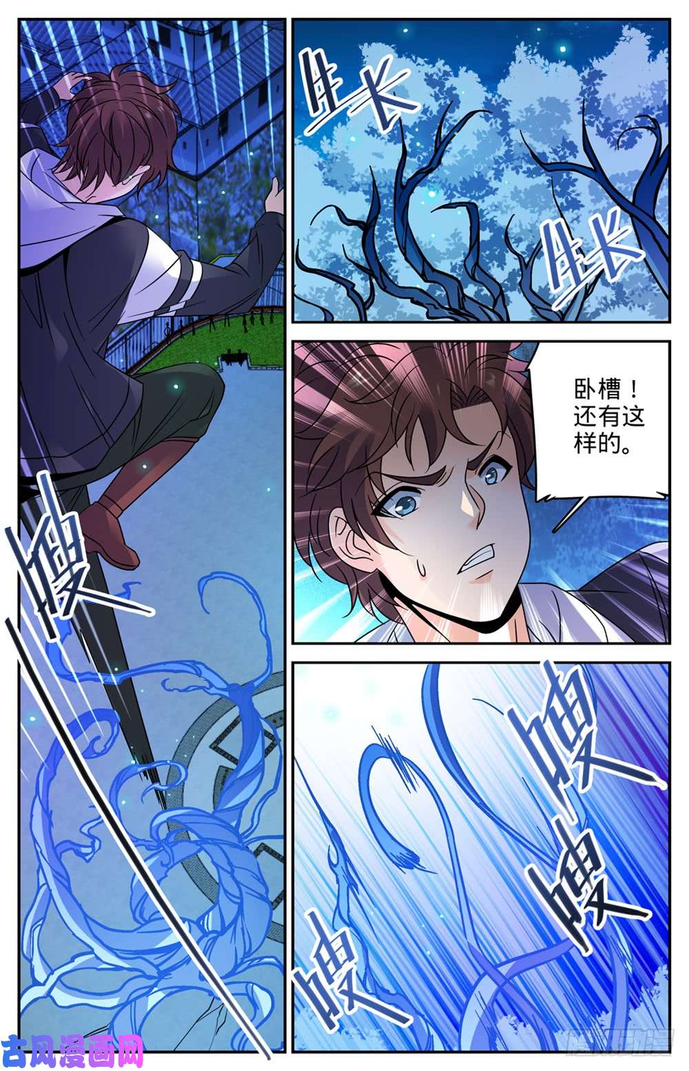全职法师493 植体种子