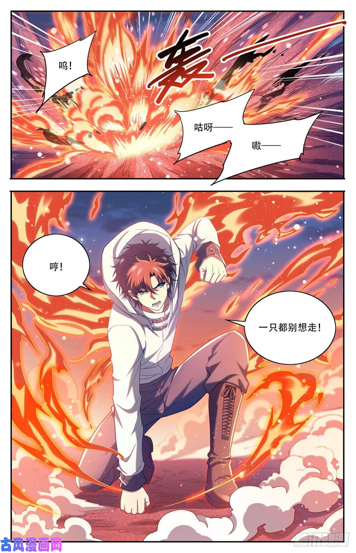 全职法师658 遁影·影鸟