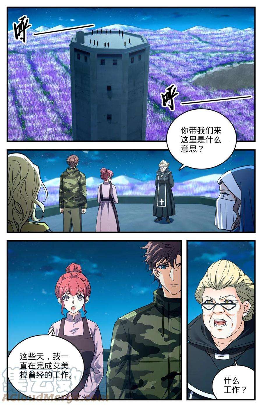 全职法师902 真面目