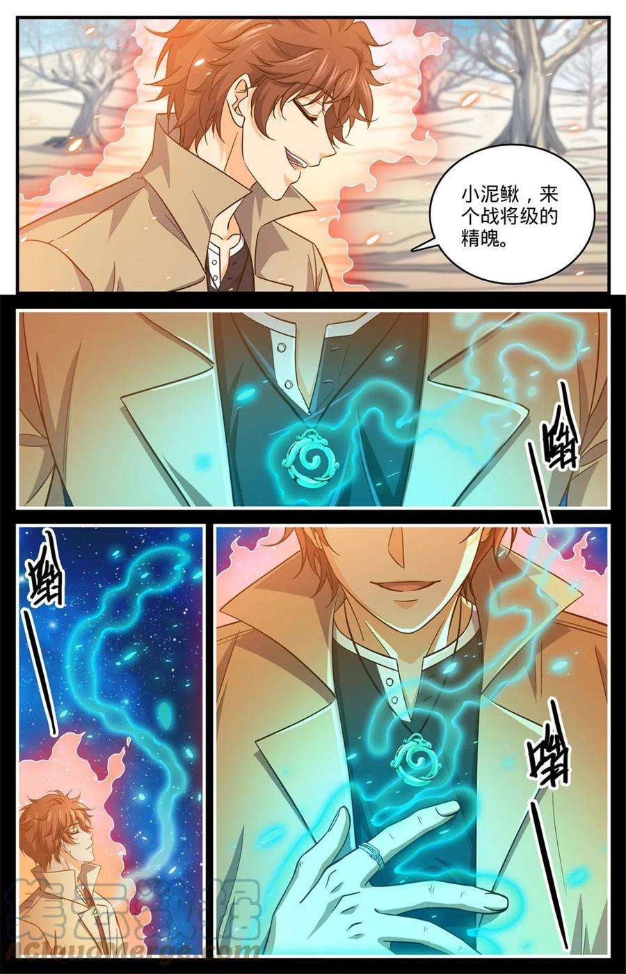 全职法师910 魔媒戒