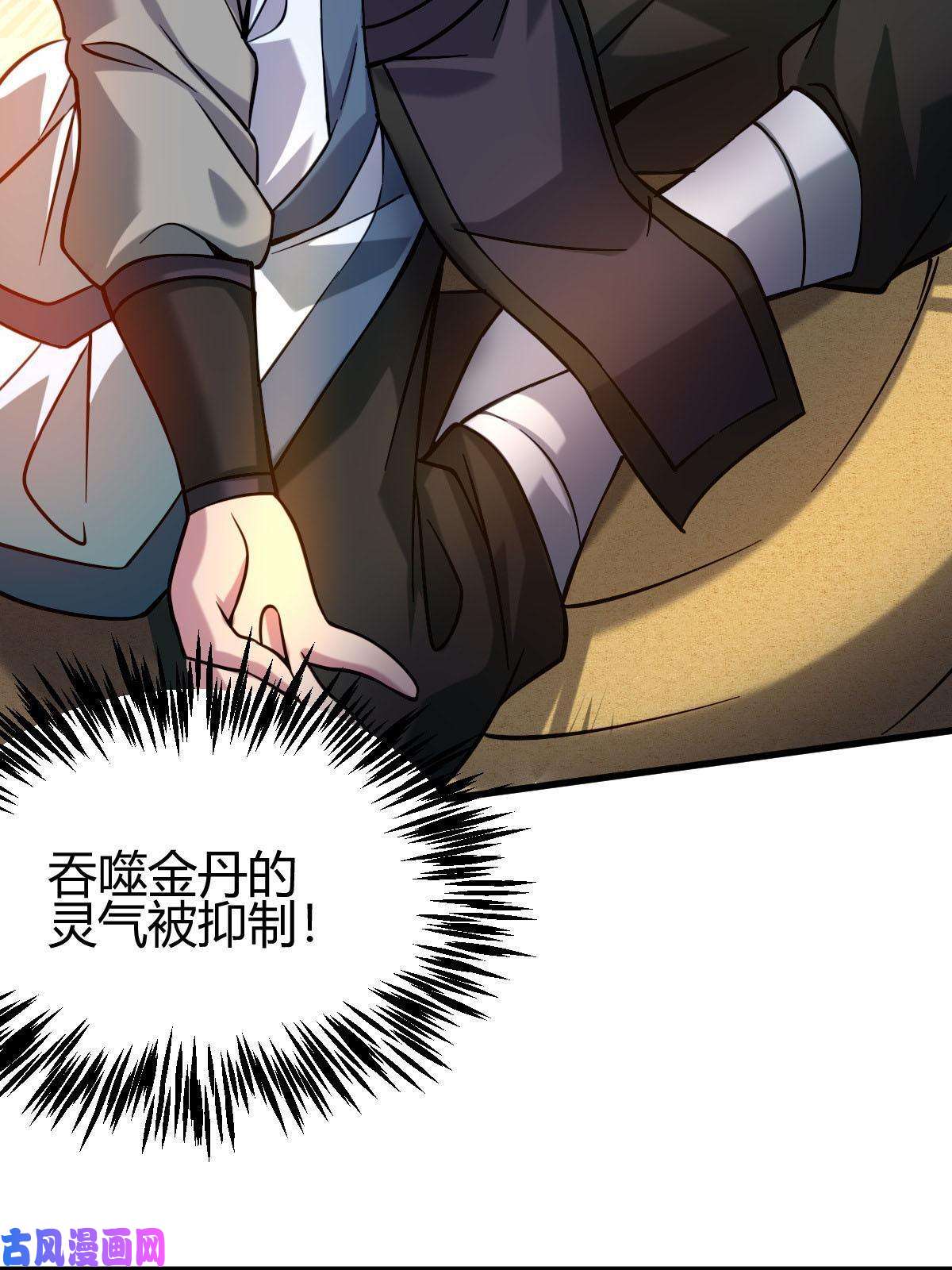 我渡了999次天劫5 珍奇玲珑局