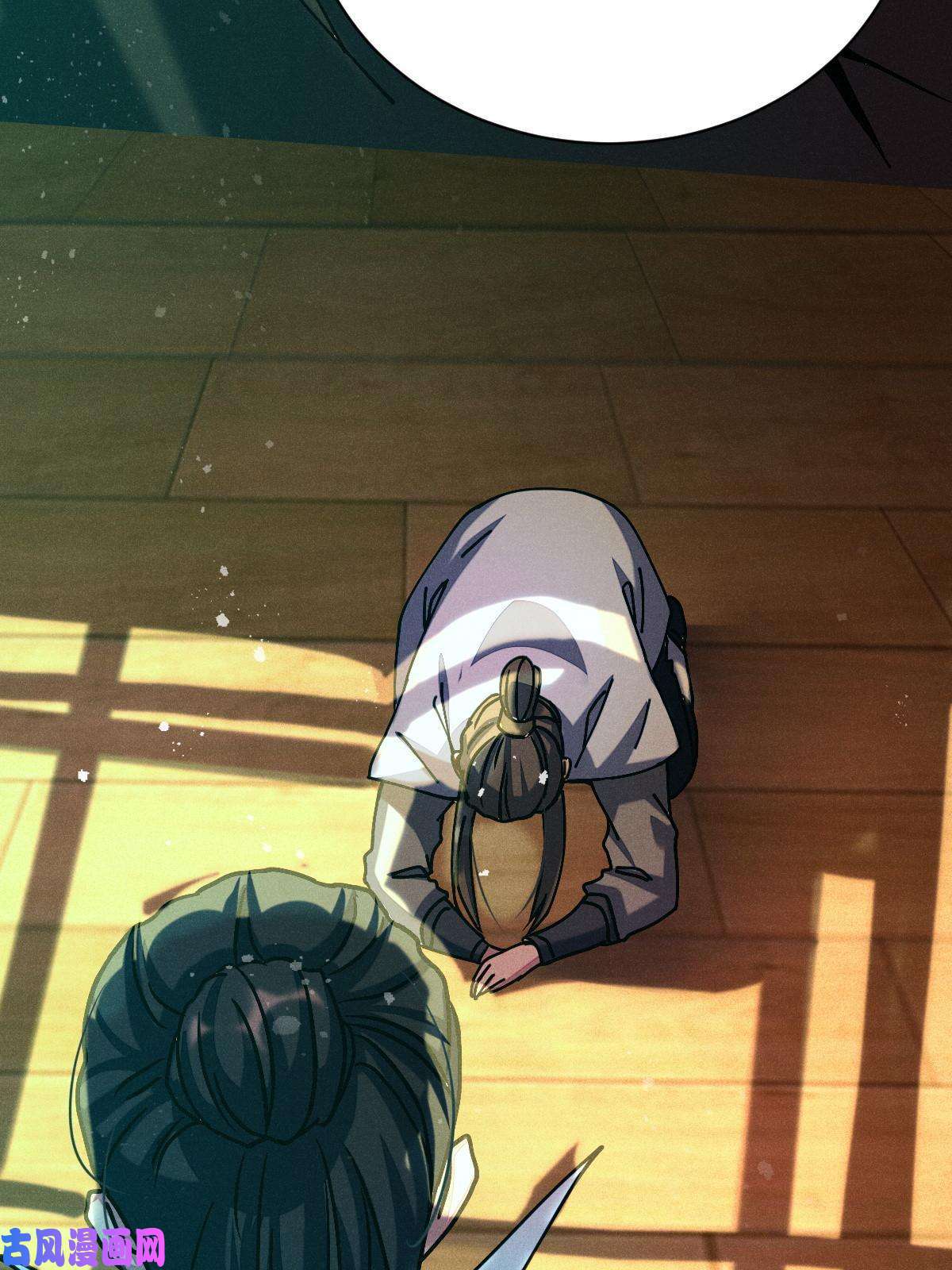 我渡了999次天劫9 被识破