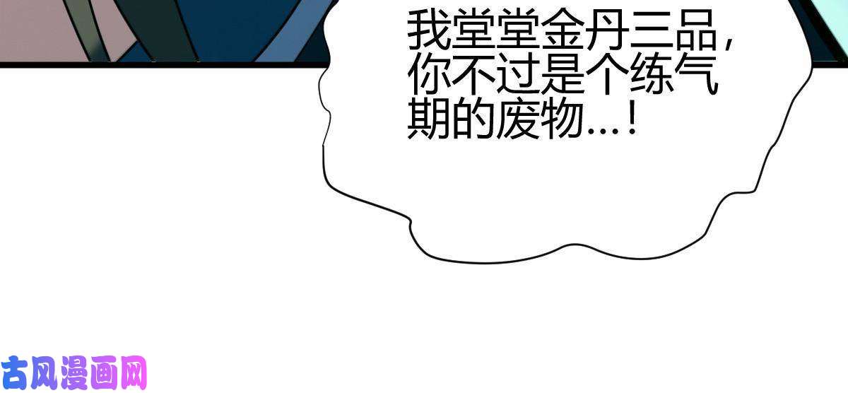 我渡了999次天劫9 被识破