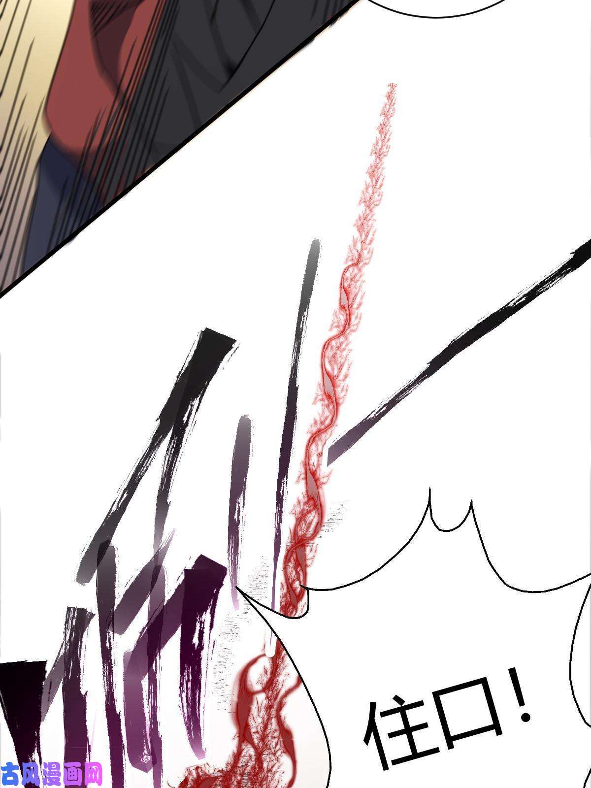 我渡了999次天劫9 被识破