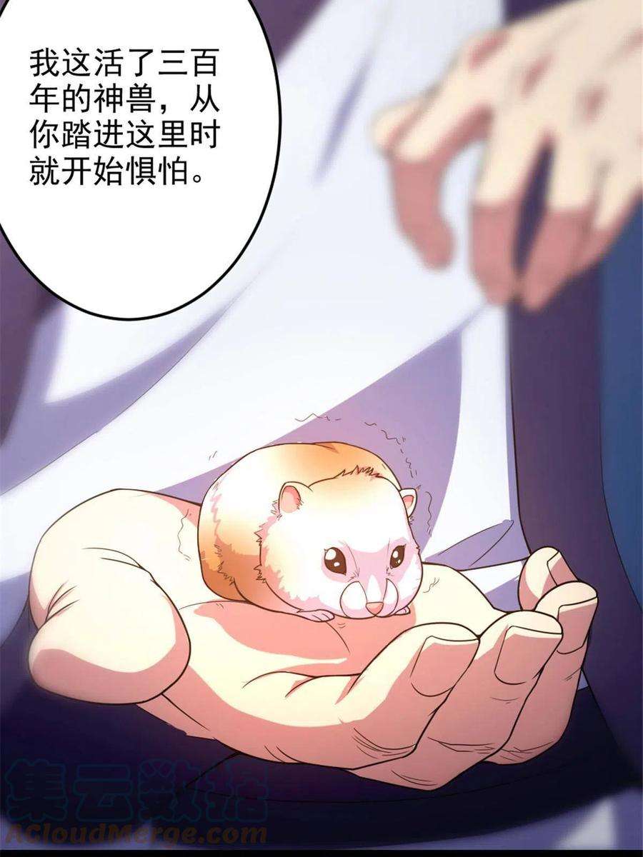 我渡了999次天劫36 借命