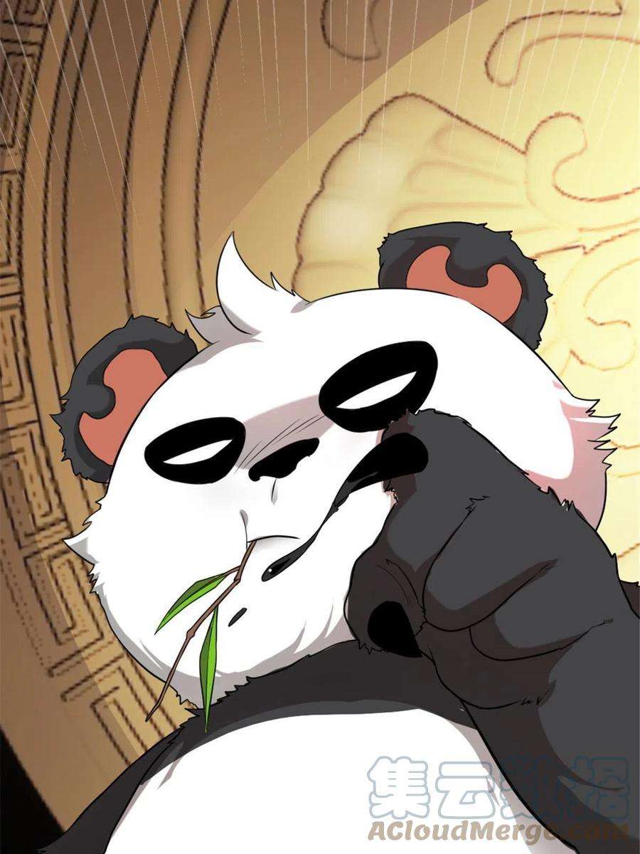 我渡了999次天劫54 神兽出世