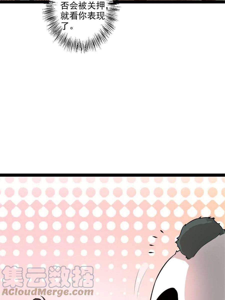 我渡了999次天劫54 神兽出世